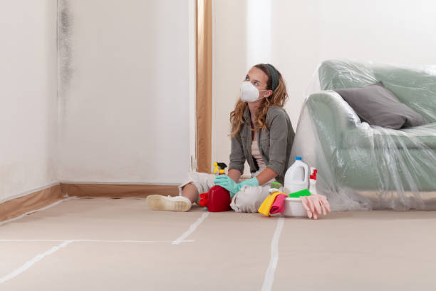 Reliable Mold Remediation contractor in Highlands, TX by Cheap Mold Removal